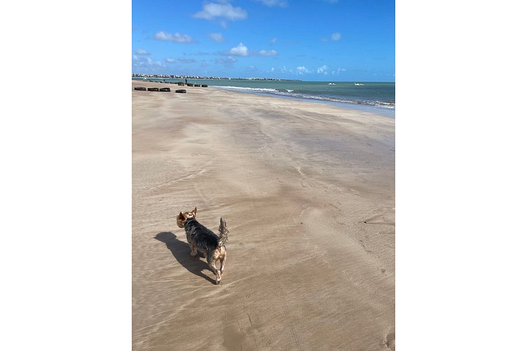 305A · Pé na Areia do Caribessa - Branco Haus